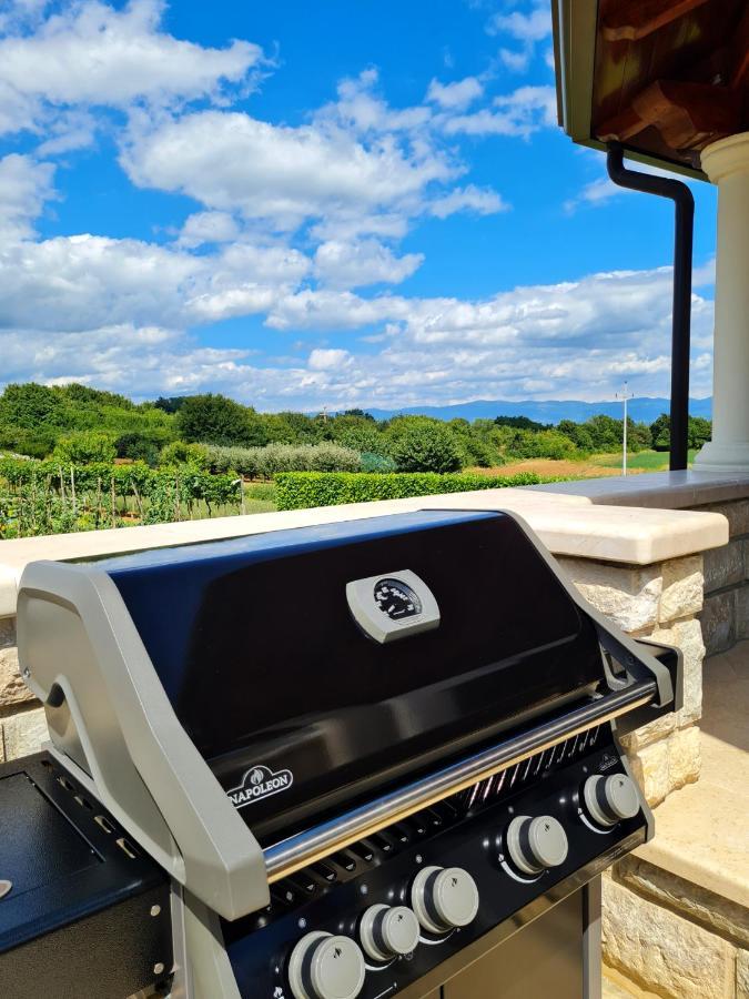 Holiday Apartment Villa Bianca Пазин Екстериор снимка