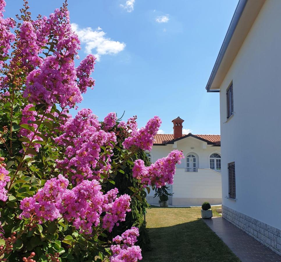 Holiday Apartment Villa Bianca Пазин Екстериор снимка