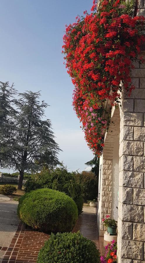 Holiday Apartment Villa Bianca Пазин Екстериор снимка